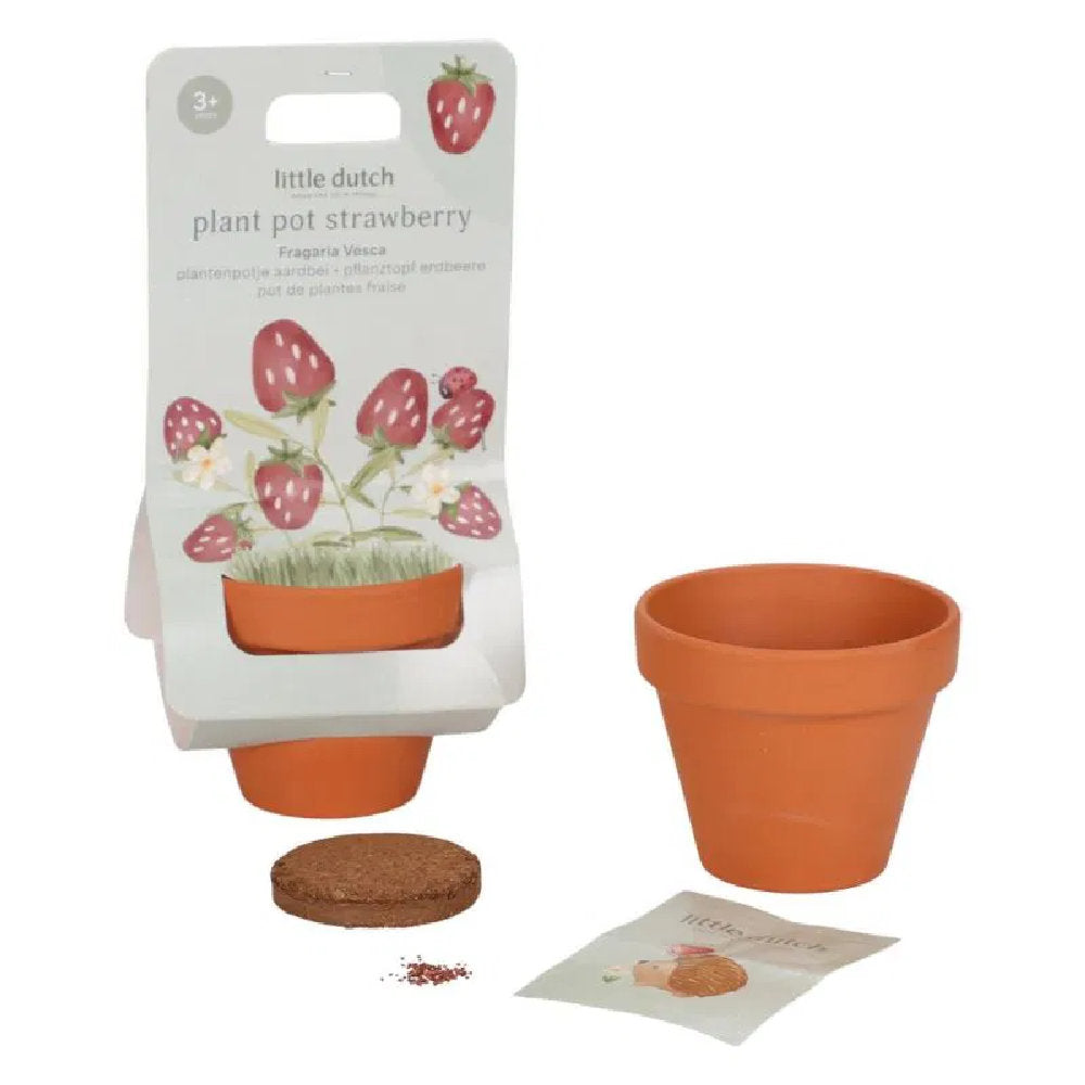 Kit Coltivazione Fragole per Bambini in Vaso di Terracotta - Dai 3 anni