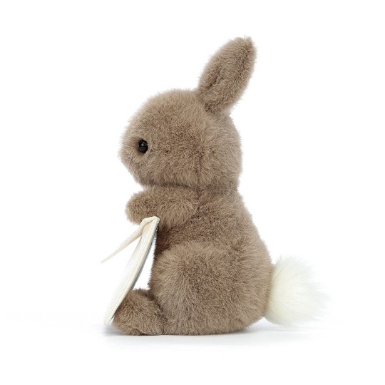 Jellycat - Peluche morbido Coniglio messaggero