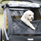 Thule - Kit per cani per Thule Courier