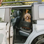 Tavo Pets - Seggiolino auto per animali Maeve